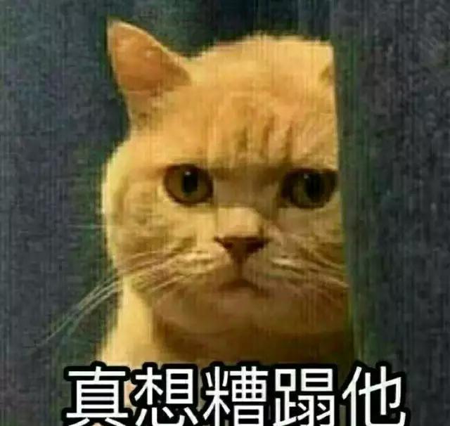 张艺兴给小秘书披衣服,霸道总裁上身:我是老板