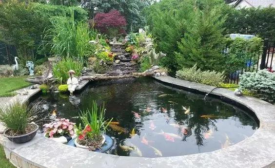 10个庭院鱼池造景设计要想院子变美那就建个鱼池吧