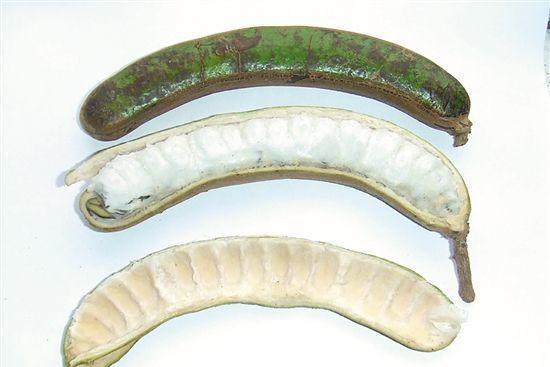 印加豆因此被当地人称为雪