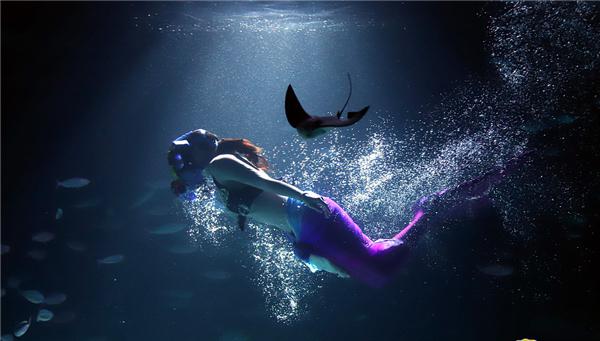 日本水族馆现"美人鱼" 水中畅游光影绚烂
