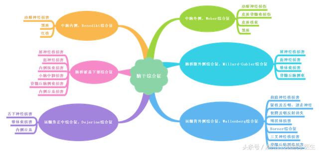 SEO行业基金排名意思