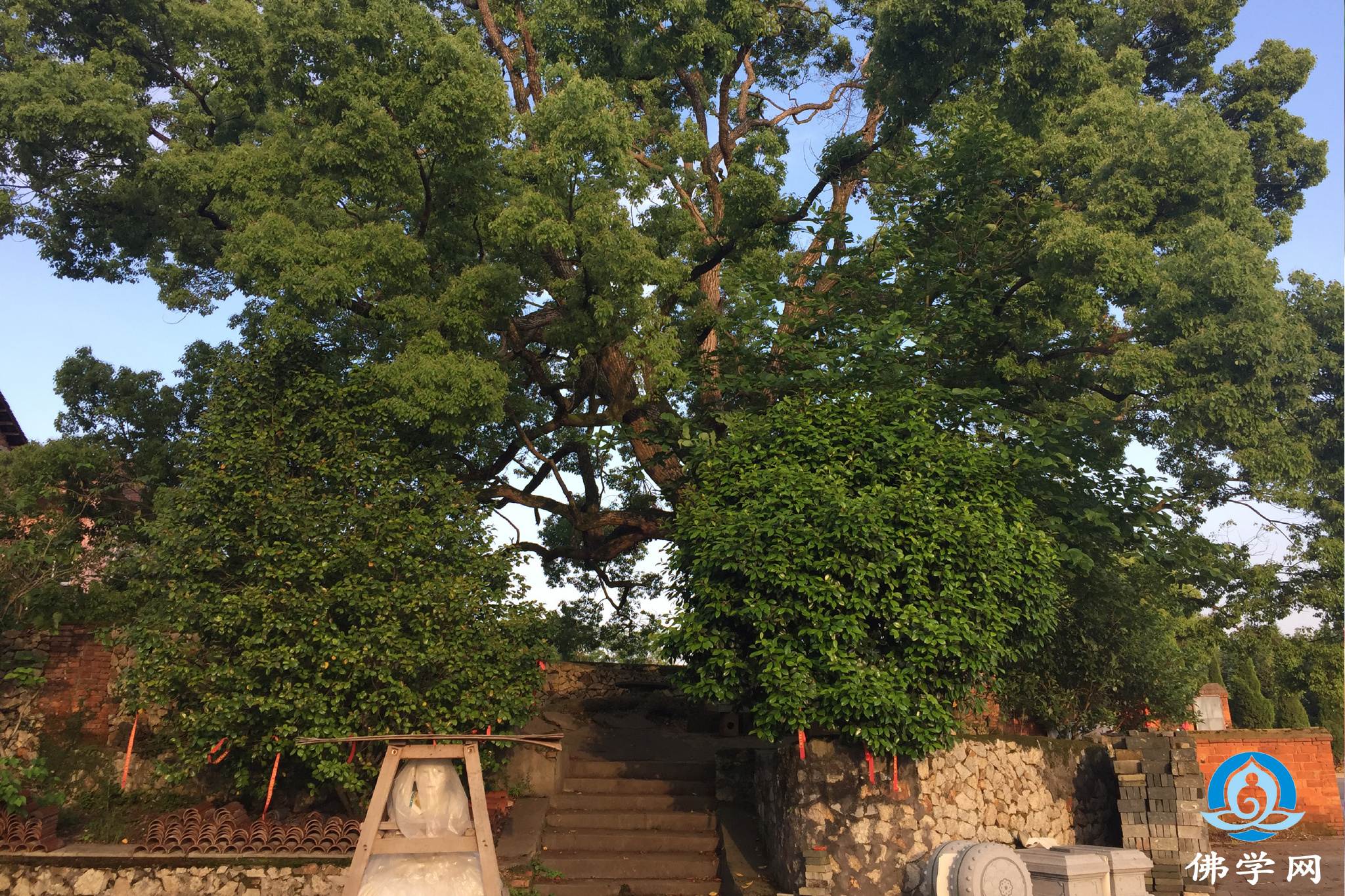 瑶田寺,位于江西云居山山脚下的一个小村庄.