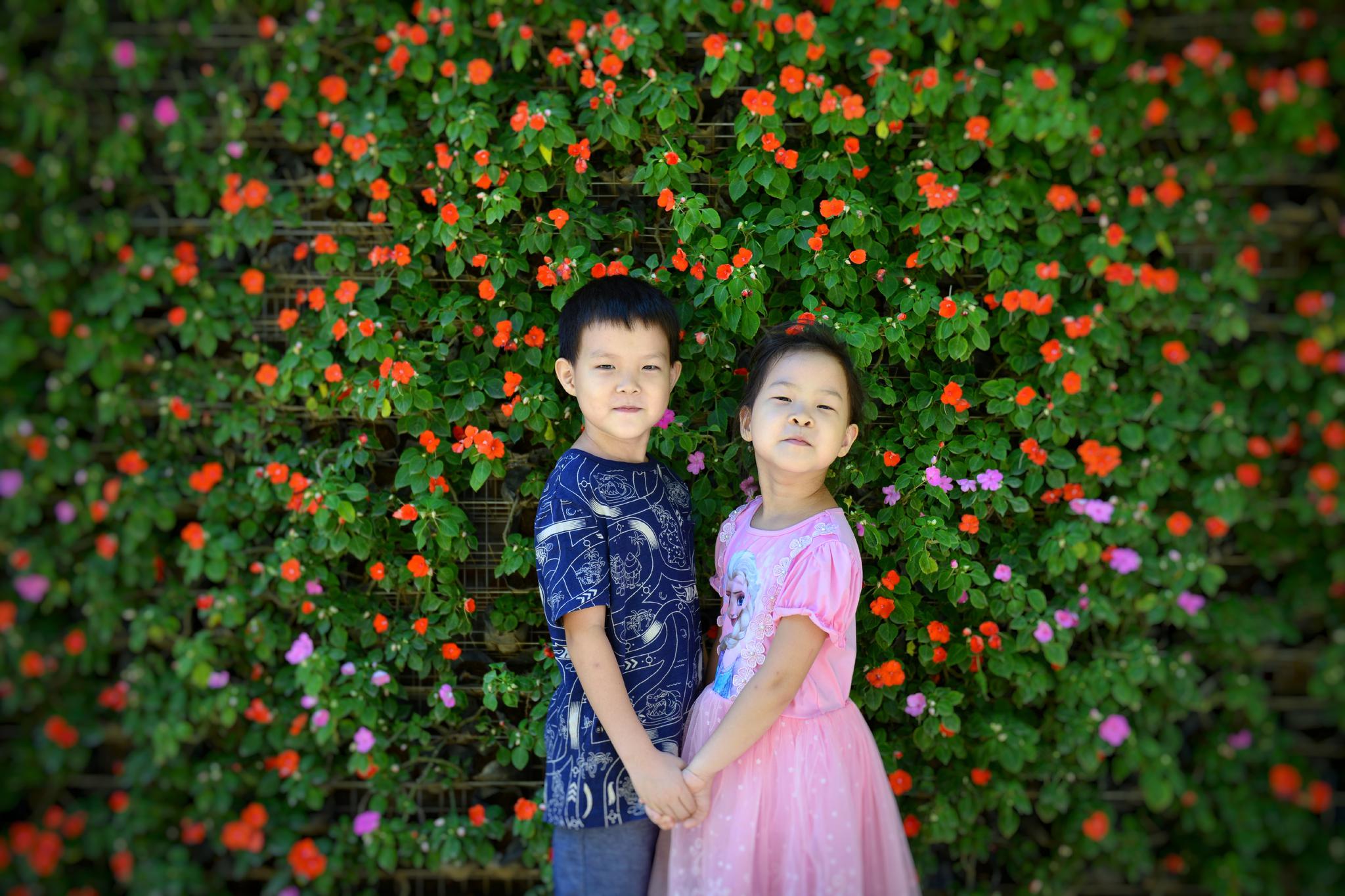 第二次跟拍这对可爱的兄妹,明年再见!