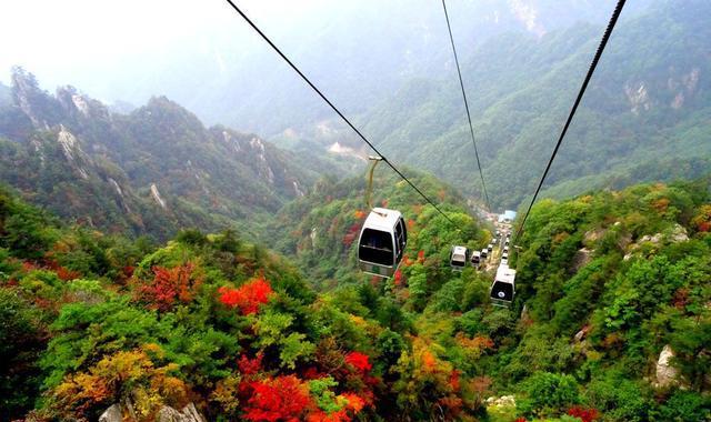 赏红叶,南阳伏牛山老界岭的就是不一样