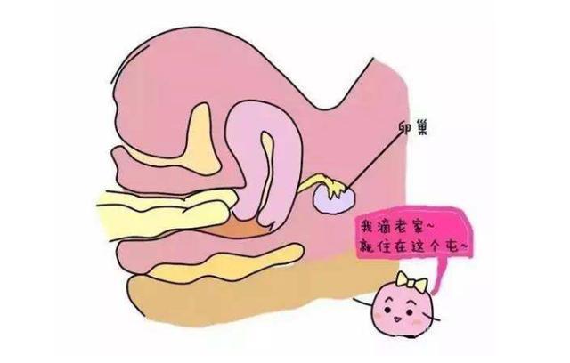 女人生孩子的最晚年龄是多少25岁与35岁生育差距可不是一般的大