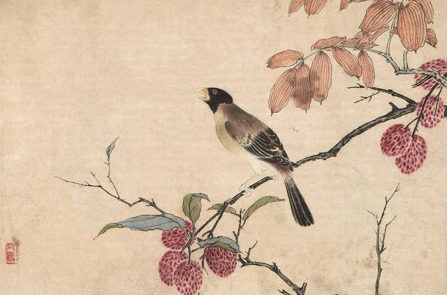 如何画荔枝|南方|荔枝|画法_新浪新闻