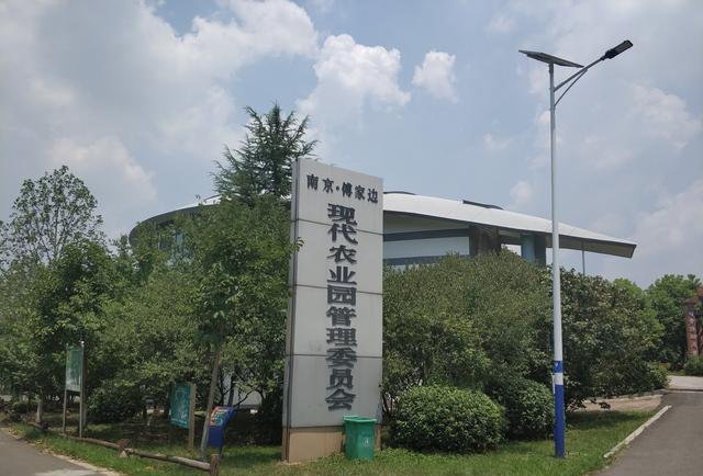 南京溧水一张靓丽的生态名片——傅家边农业科技园风采(上)