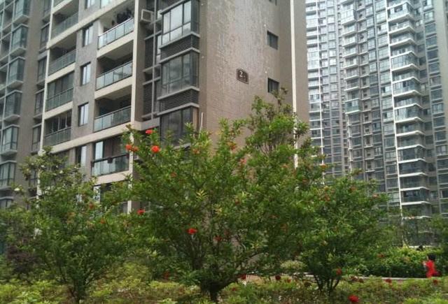 婚后第一次回娘家, 前男友等在我家楼下, 一定要和我说几句话