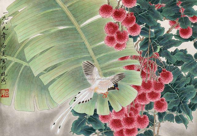 如何画荔枝|南方|荔枝|画法_新浪新闻
