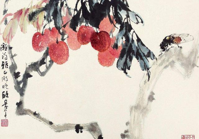 如何画荔枝|南方|荔枝|画法_新浪新闻