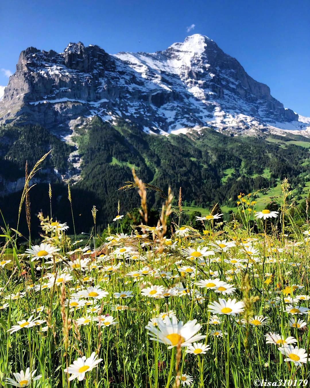 人间七月天 ins:lisa310179