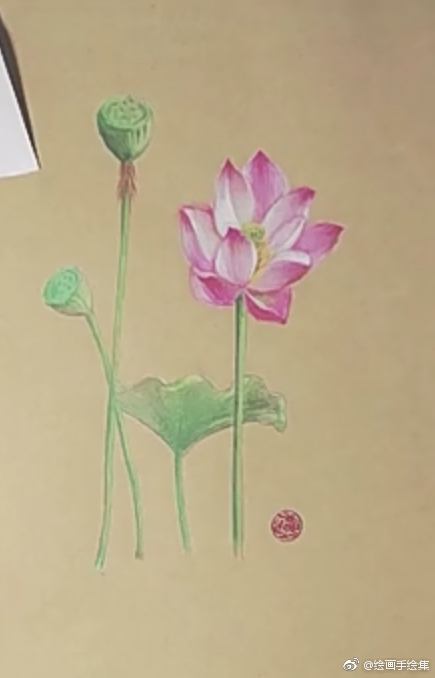 牛皮纸彩铅画儿荷花