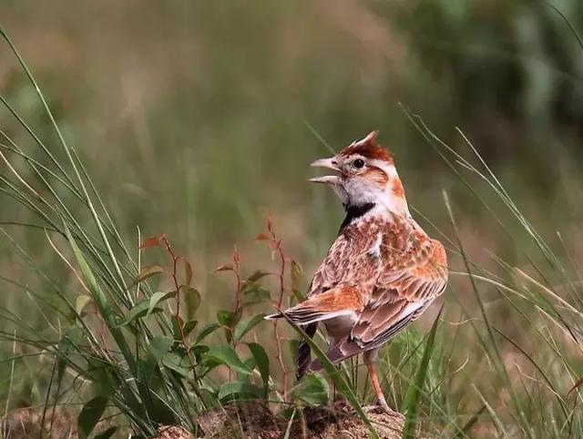 组装电脑哪里买好 组装电脑靠谱渠道推荐