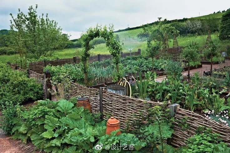 菜园,也要有艺术感