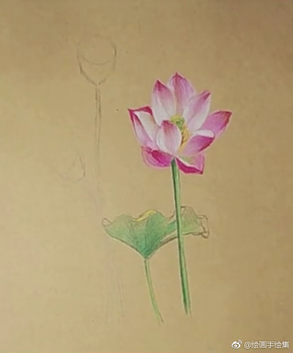 牛皮纸彩铅画儿,荷花