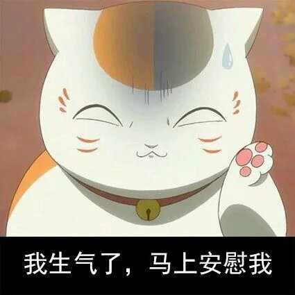 一组喵咪老师萌萌表情包