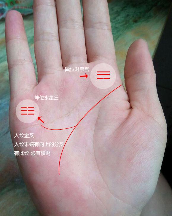 此处向上分叉的手相,不论男女之人,必有横财,注定能发大财