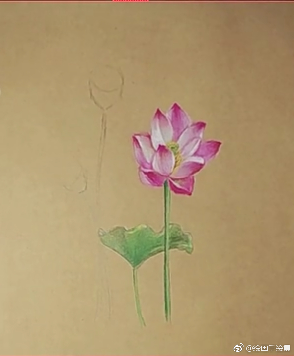牛皮纸彩铅画儿,荷花