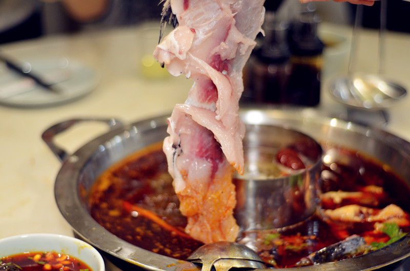不用去成都大西安也能吃到如此正宗的鱼火锅