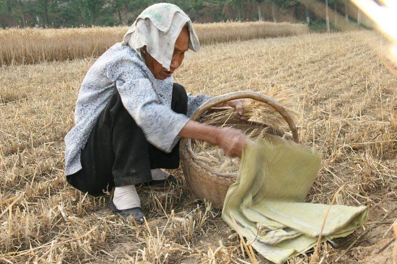 农村孕妇孕期一直干活, 临到生产被送到医院, 婆婆骂孕妇大意|孕妇|婆