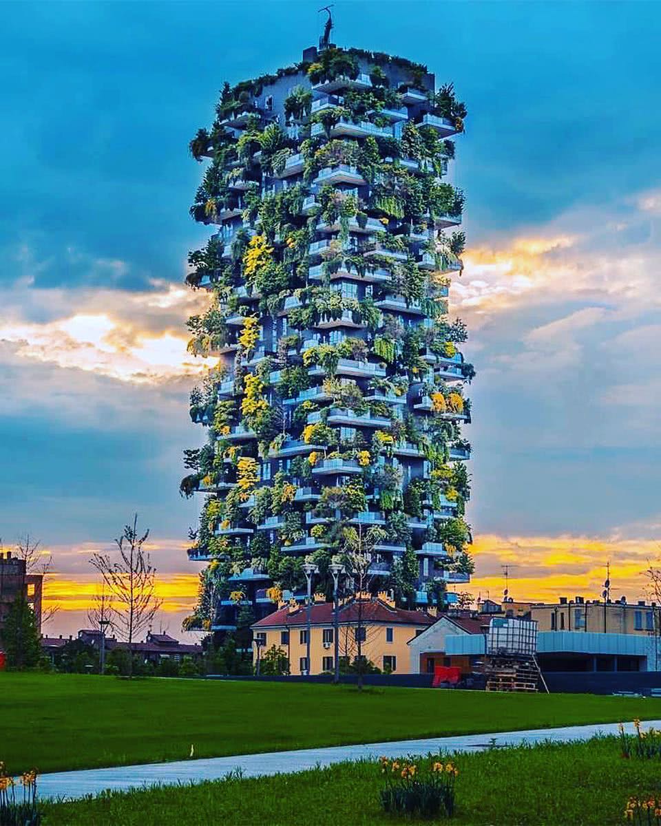 米兰市中心的垂直森林住宅楼各种植物花草灌木等,点缀在阳台上.