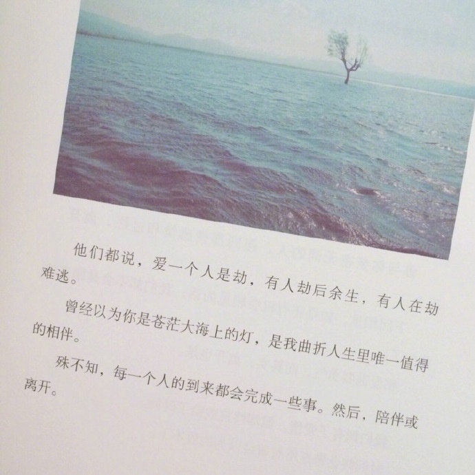 书摘背景图 | 据说点赞的最后都会睡到喜欢的人|书摘_新浪新闻