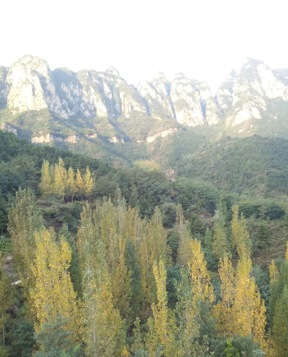 新乡辉县柿园水库