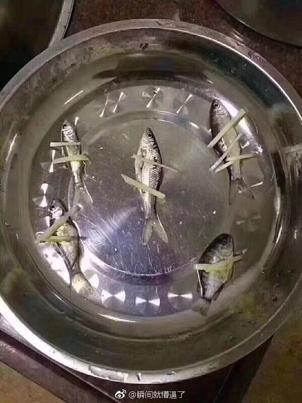 搞笑贴|大鱼大肉|仪式感|生活_新浪新闻
