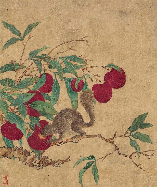 如何画荔枝|南方|荔枝|画法_新浪新闻