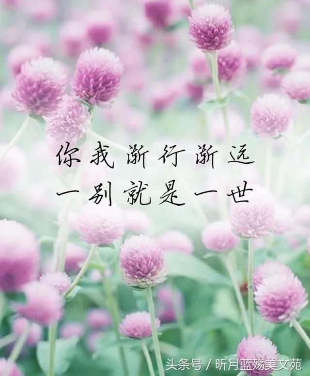 你我渐行渐远一别就是一世