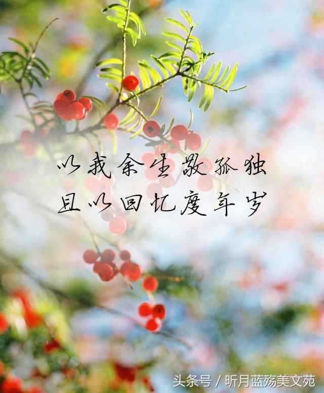 你我渐行渐远一别就是一世