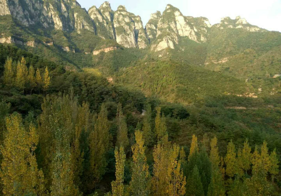 新乡辉县柿园水库