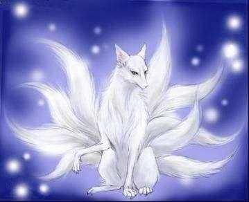 九尾中文小说网