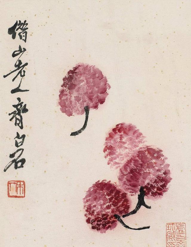 如何画荔枝|南方|荔枝|画法_新浪新闻