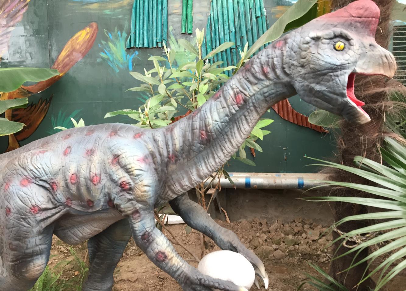 走进呀路古植物园, 北京城里的小云南!