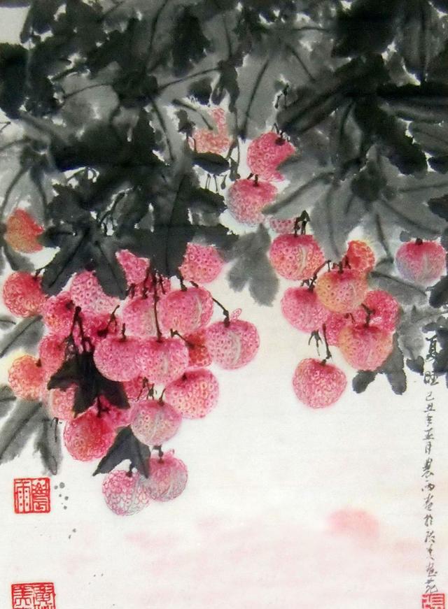如何画荔枝|南方|荔枝|画法_新浪新闻