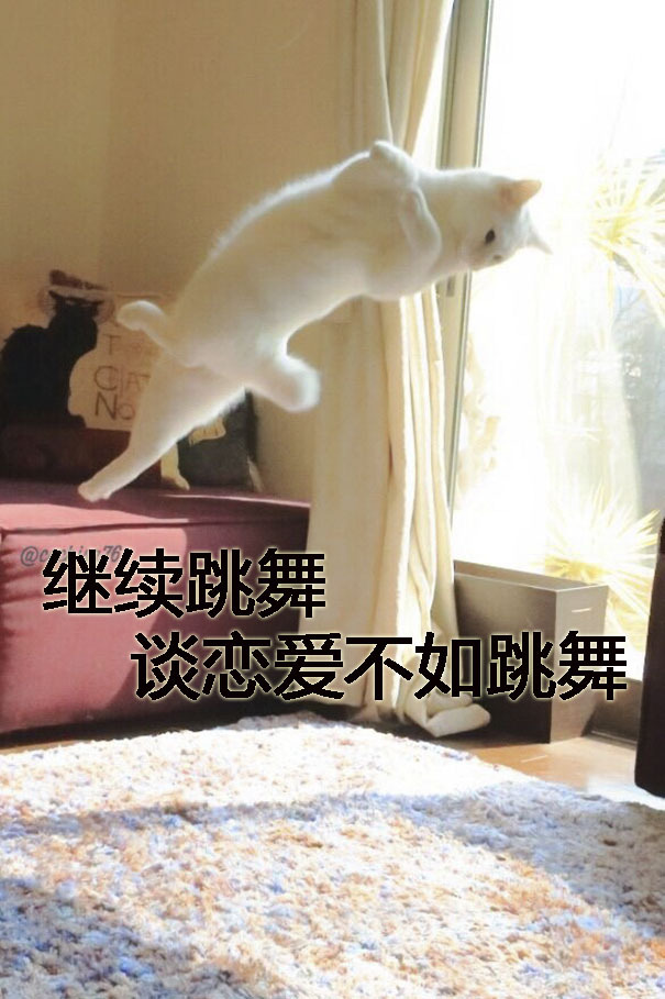 不如跳舞,谈恋爱不如跳舞.