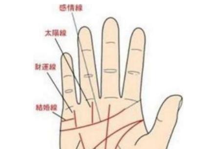 小指过三关,不愁吃喝穿,财运很好,女人说明丈夫的财运很好,小手指越长