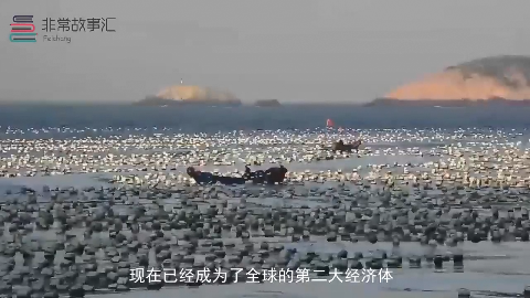 在中国那么多的巴基斯坦人都依靠什么工作真相