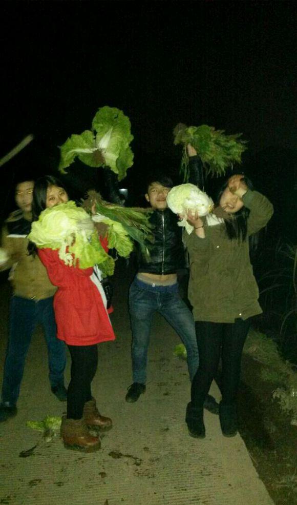 听说,在农村这一天去偷菜是不会被抓的