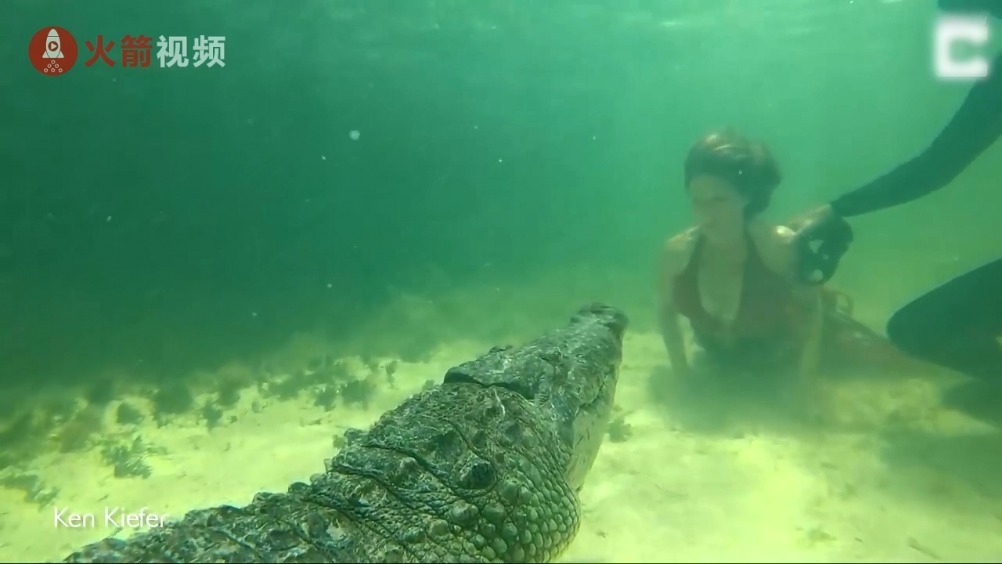 【2018女排欧冠 半决赛第一场 科内利亚诺vs瓦