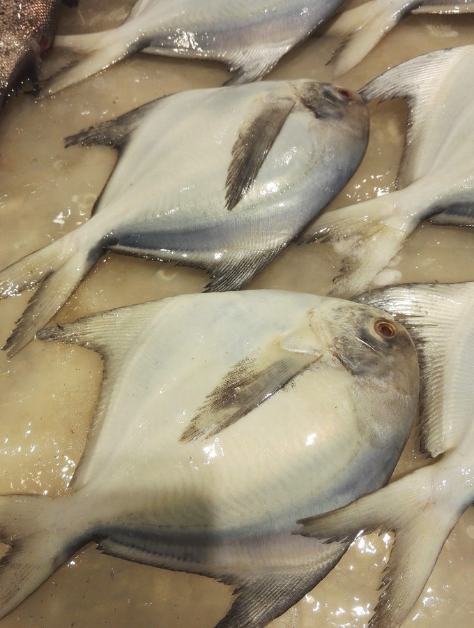 2018北戴河的缤纷夏日休闲之旅 —秦皇岛旅游北戴河旅游攻略游记