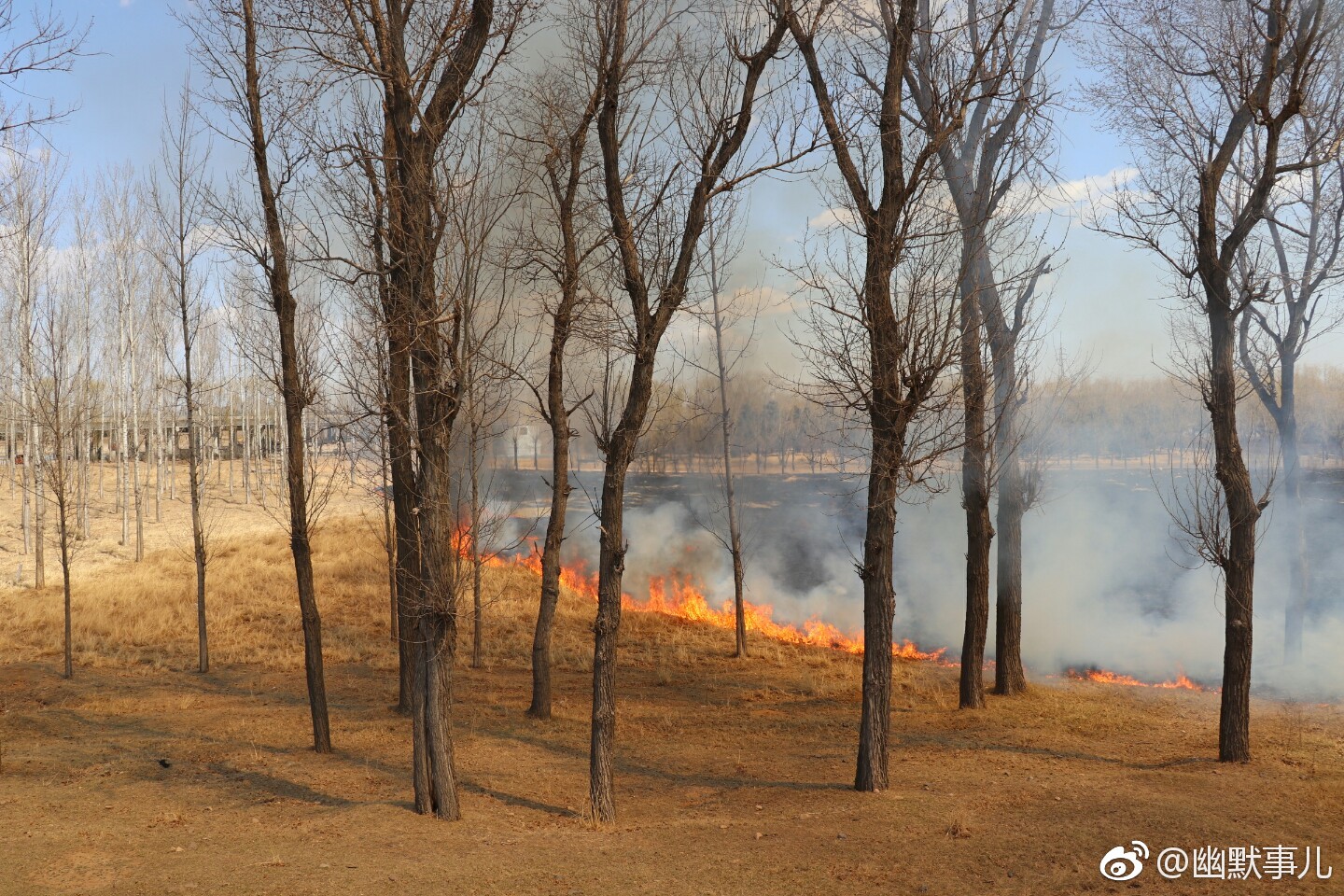 六股河公园着火了,消防员都来了!