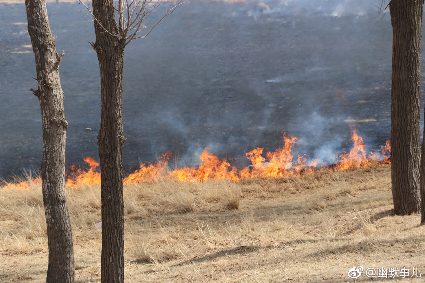 六股河公园着火了,消防员都来了!