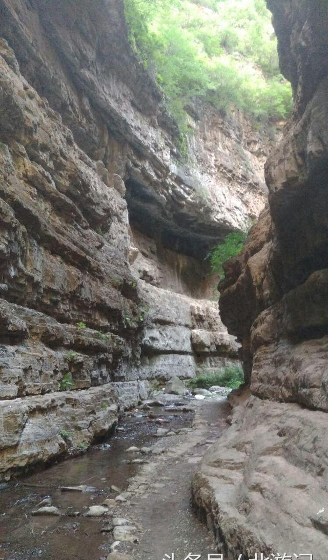 在旅行者面前有千万条,在旅游者面前往往只有一条