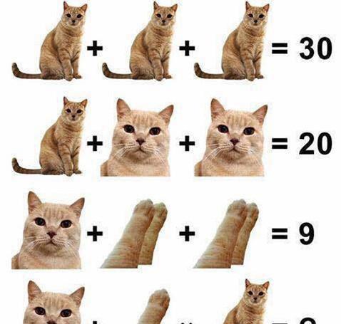 秀秀|男朋友|智商_新浪新闻