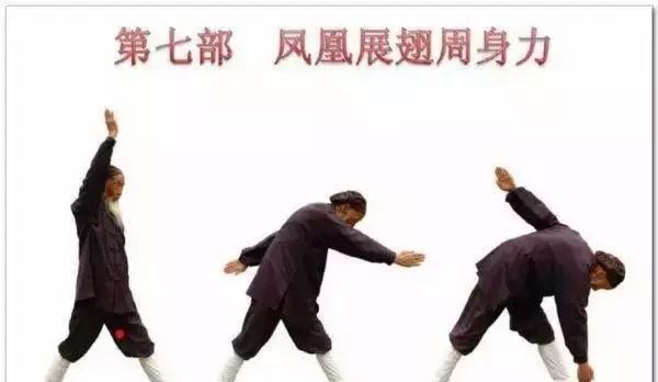 张至顺道长传授金刚长寿功全法