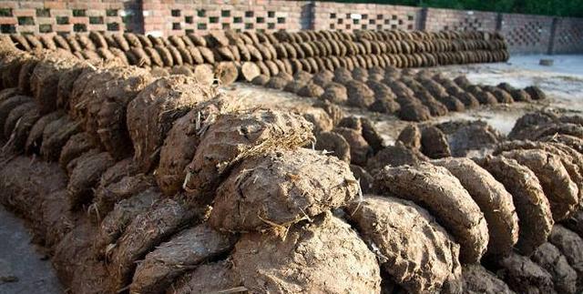 印度的"牛粪"公交车,一毛钱坐一回!印度:遥遥领先中国二十年