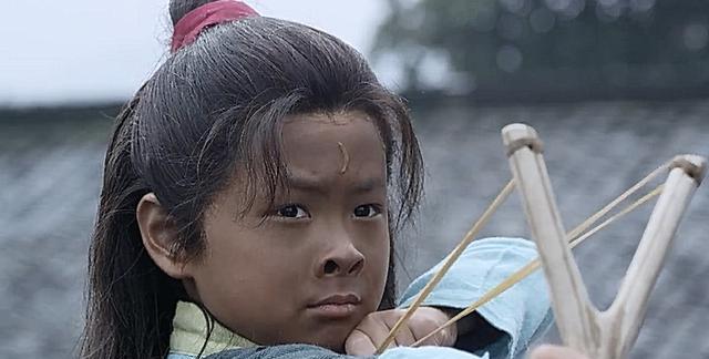 《开封府》包拯的算法,你觉得有问题么?