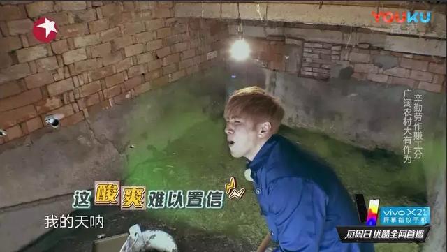 极限挑战偶像变呕像罗志祥挑粪施肥网友心疼他有洁癖